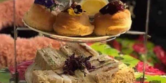 Afternoon Tea at Shakespaw Cat Cafe Tea and Coffee com Afternoon Tea at Shakespaw Cat Cafe Tea and Coffee com