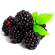 Ingredients: Blackberries image