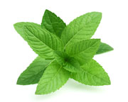 Ingredients: Peppermint image