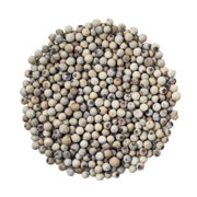 Ingredients: White pepper image