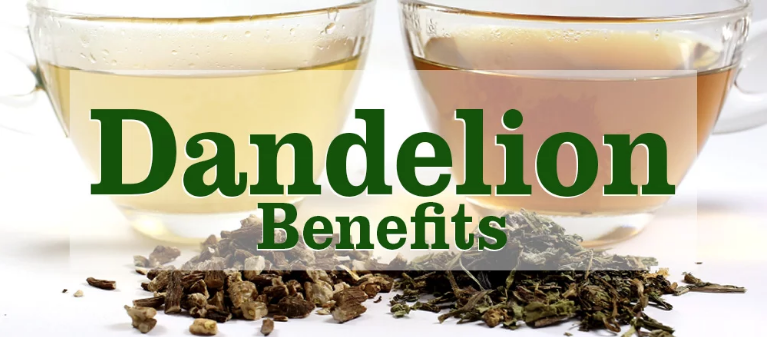 Dandelion Tea Benefits