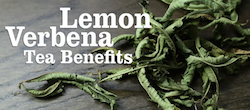 Lemon Verbena Tea Benefits