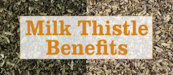 Milk Thistle Benefits