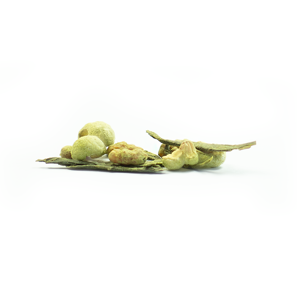 Matcha Genmai Loose Cha