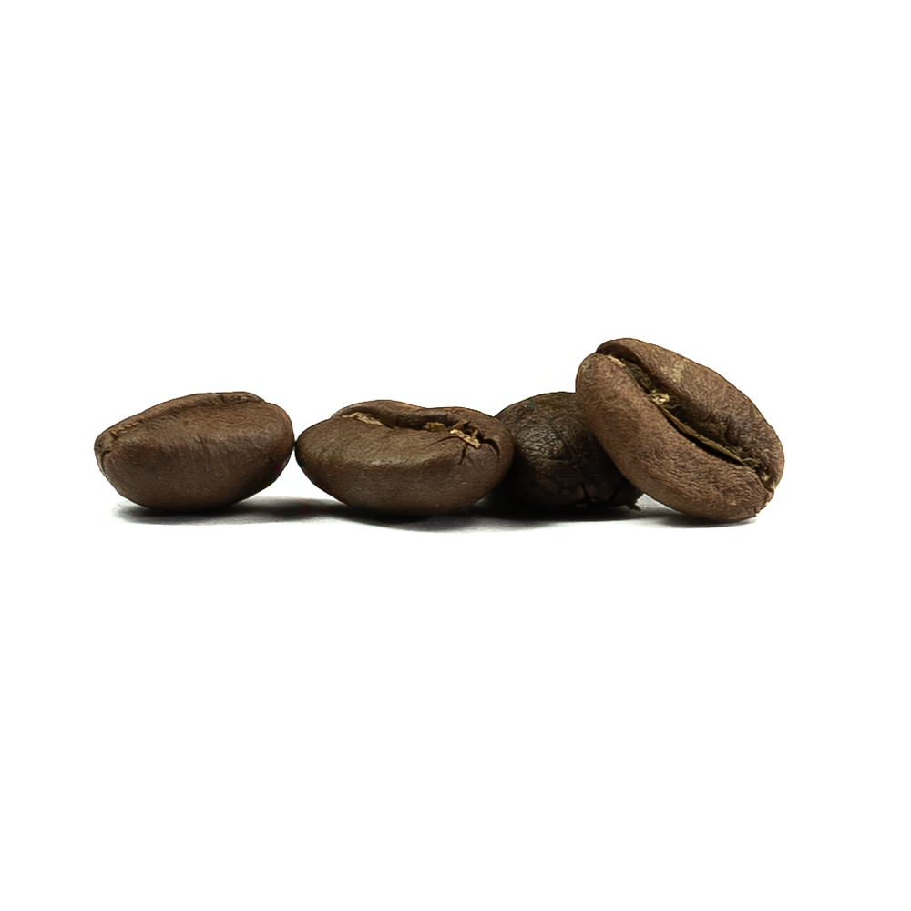 Mocha Mysore Coffee Beans
