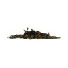 Panitola Estate Tea TGFOP