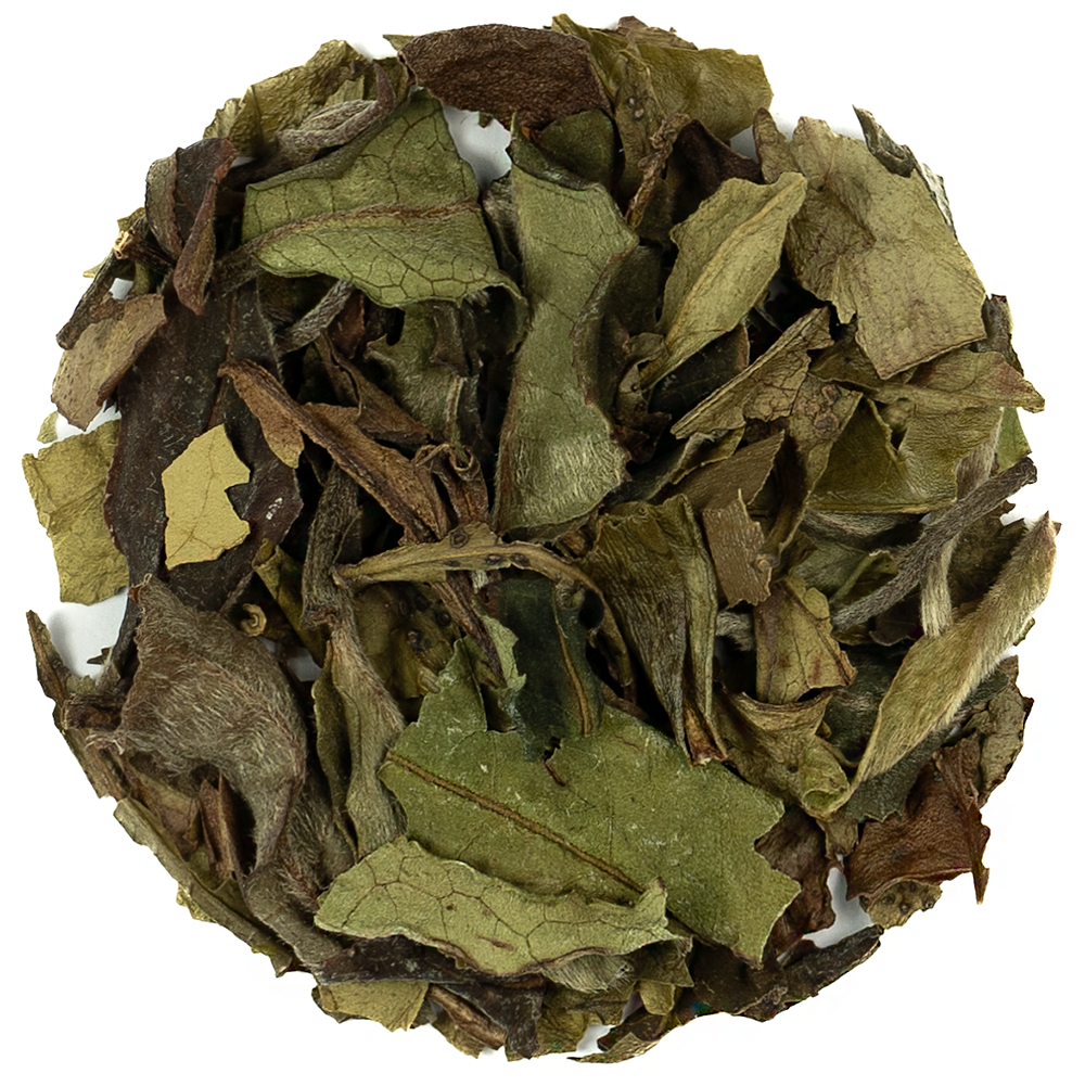Oganic Pai-Mu-Tan - Loose Leaf White Tea