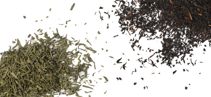 Oolong Tea vs Green Tea