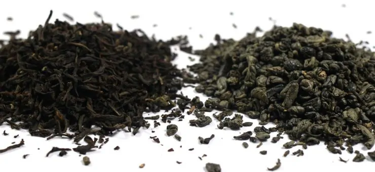 Green Tea vs Black Tea for Health