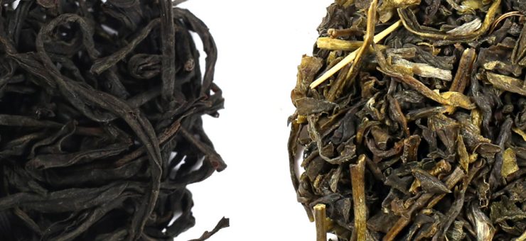 Green Tea vs Black Tea for Weight Loss