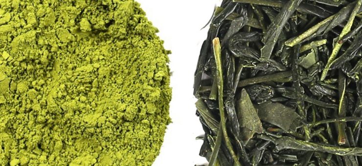 Matcha Tea vs Green Tea for Convenience
