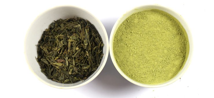 Matcha Tea vs Green Tea for Health Benefits&nbsp;