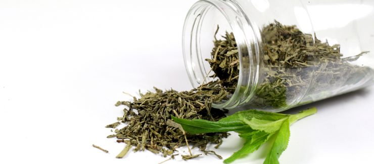 Is Green Tea Safe While Pregnant?