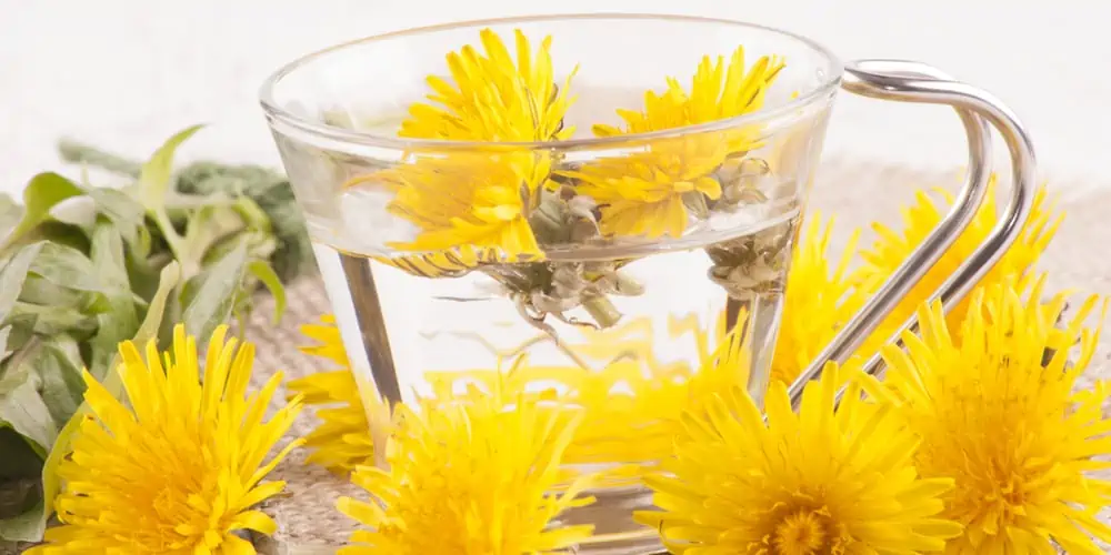 Dandelion Tea for Kidney Stones