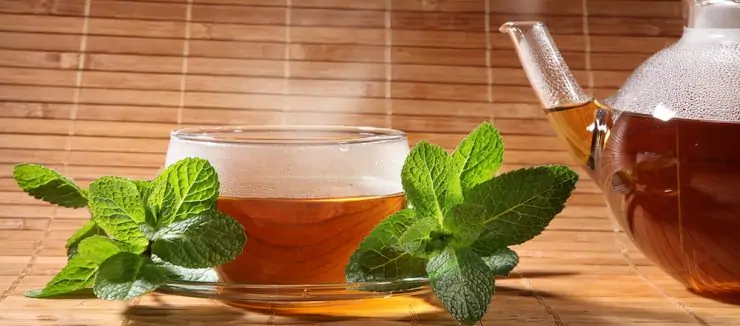 Does Peppermint Tea Help with Bloating?