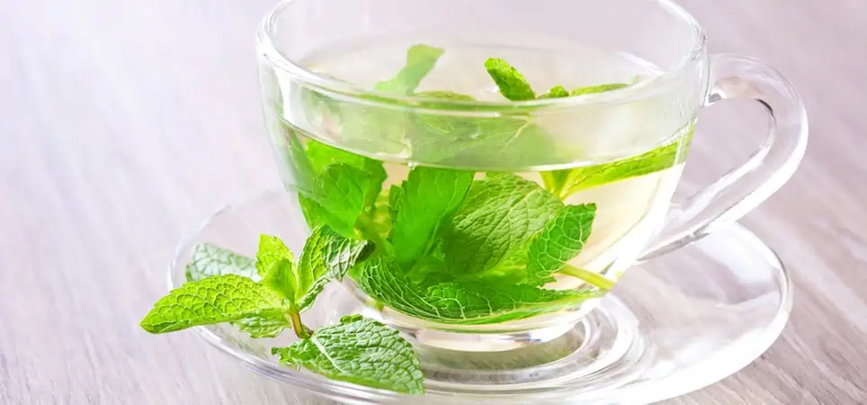 Does Peppermint Tea Help Gerd Symptoms?