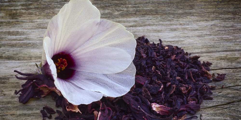 Hibiscus Tea Benefits the Kidneys
