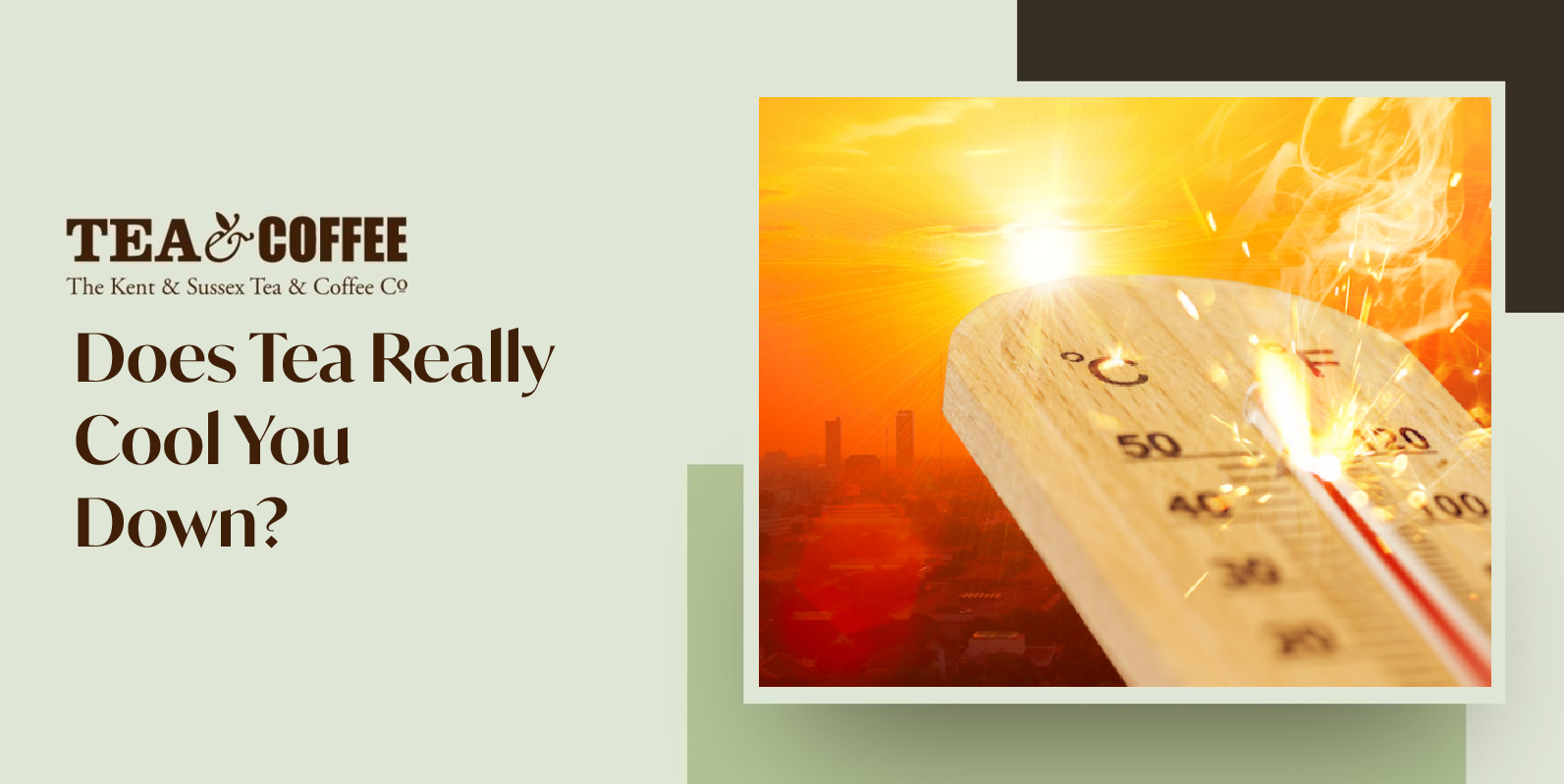 Does Tea Really Cool You Down