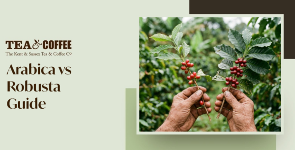 Arabica vs Robusta
