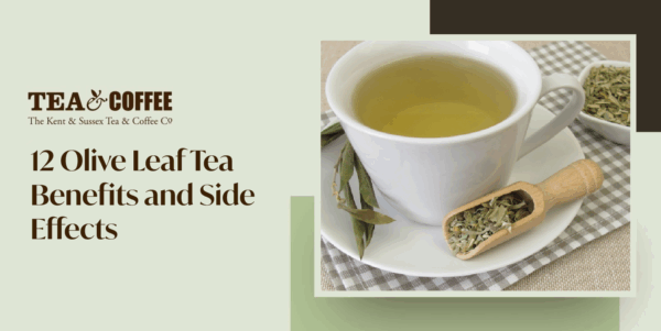 Olive Leaf Tea Benefits