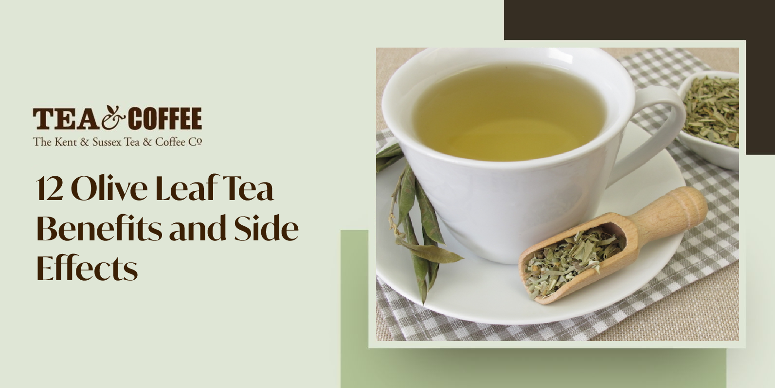 Olive Leaf Tea Benefits
