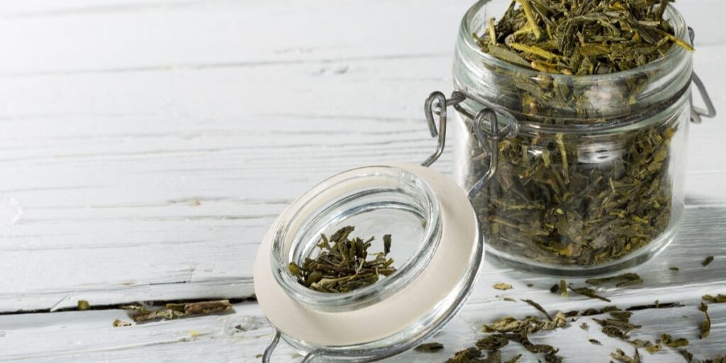 Early Origins of Green Tea