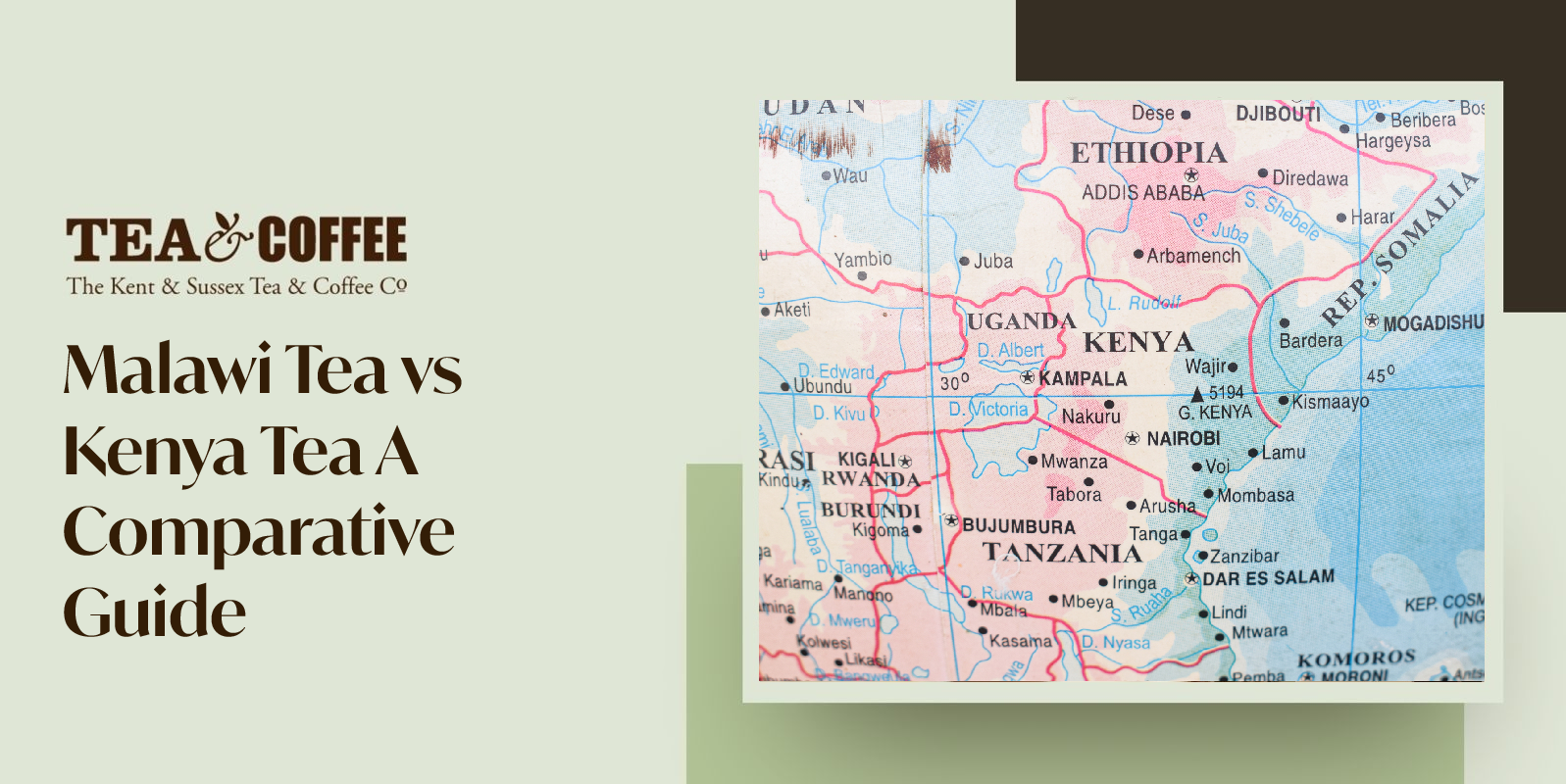 Malawi Tea vs Kenya Tea
