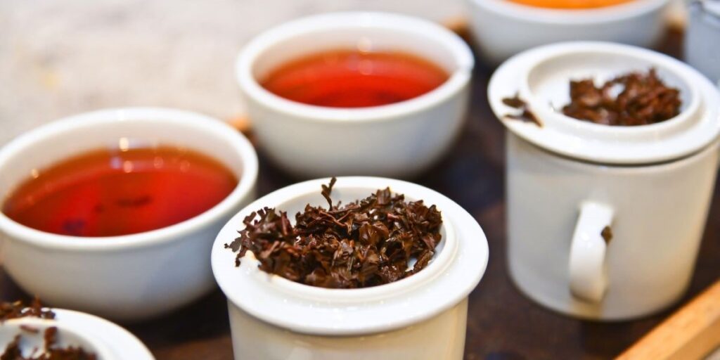 Tea Tasting with Terroir