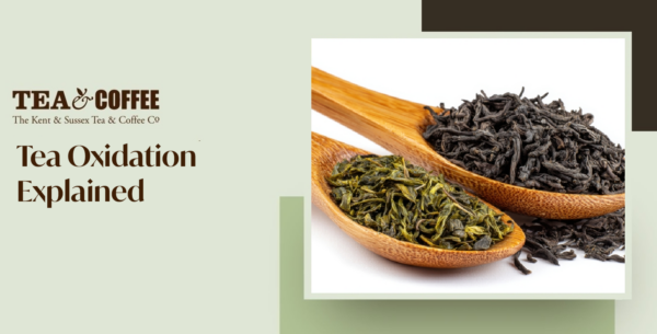 Tea Oxidation