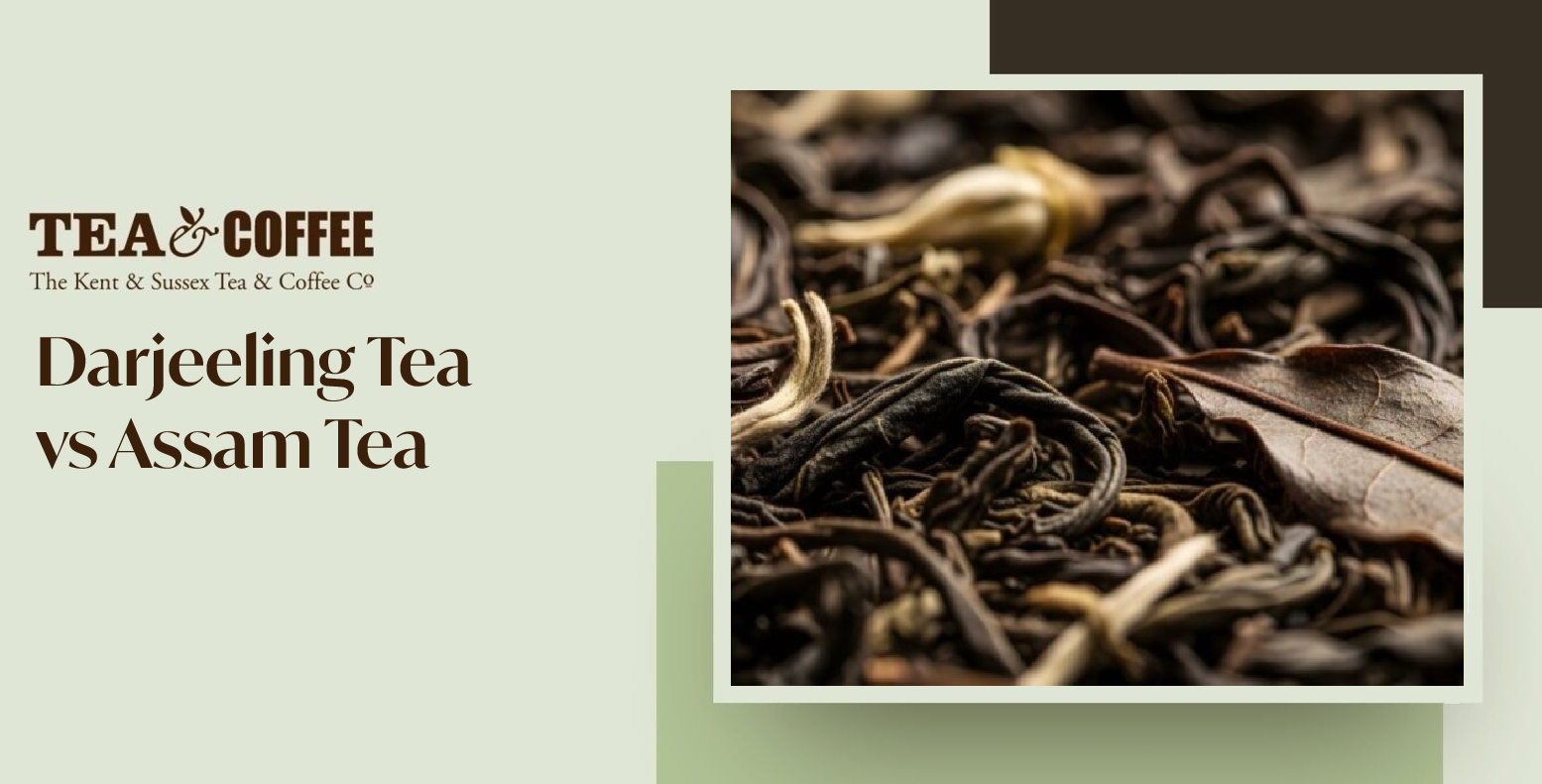 Darjeeling vs Assam | Kent Tea and Coffee Co