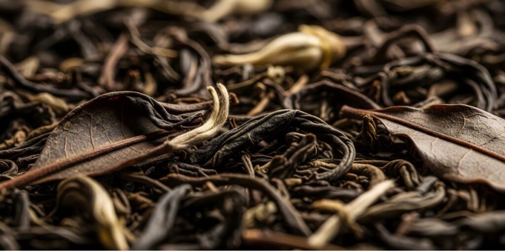 difference between assam and darjeeling tea