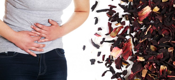 Hibiscus Helps with Period Pains