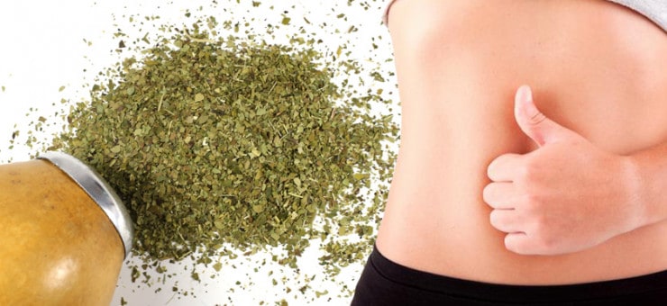 Yerba Mate can Improved Digestion