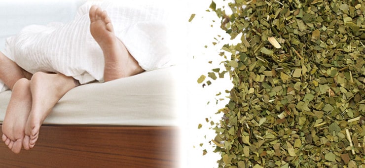 Yerba Mate and Improved Sex Drive