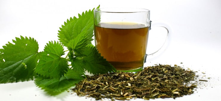 Nettle Tea