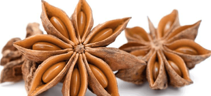 Star Anise is Used in Chai Tea Recipes