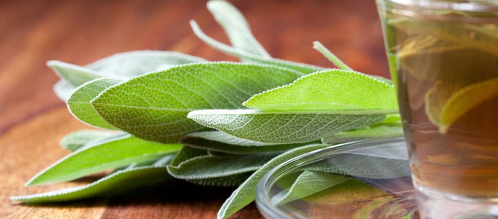 Improved Digestive Health