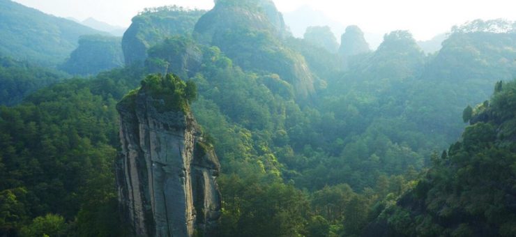 The Wuyi Mountains Theory of Oolong The Wuyi Mountains Theory