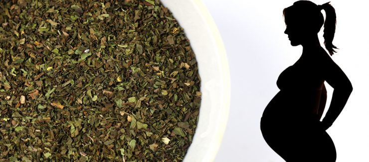 Spearmint Tea Pregnancy
