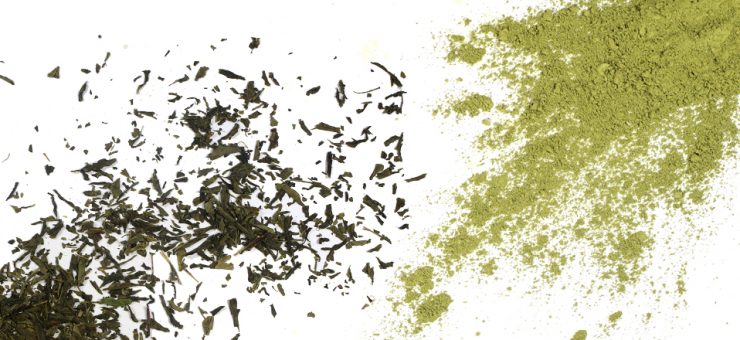 Winner of matcha Tea vs Green Tea Matcha Tea vs Green Tea, the Winner?