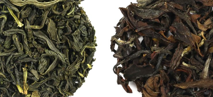 Which types of tea is the Winner Which Tea is Best