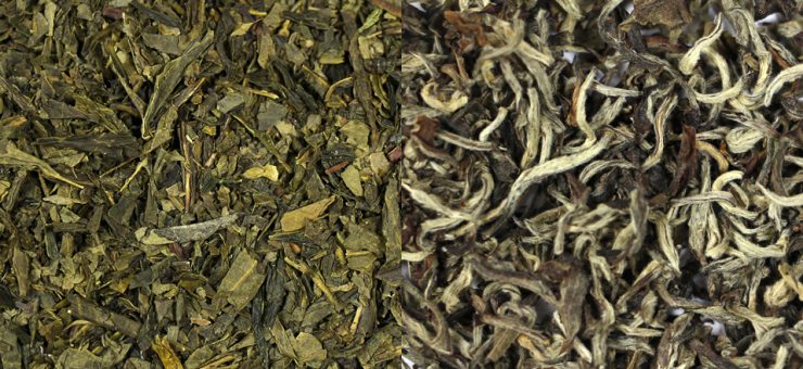 Popularity of White Tea vs Green Tea White Tea vs Green Tea for Popularity