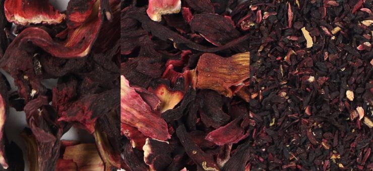 Hibiscus Tea can Support the Immune System