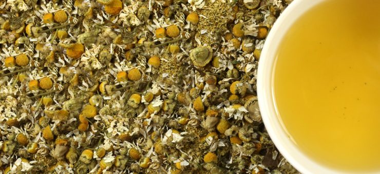 Calories in Camomile Tea Calories in Camomile Tea