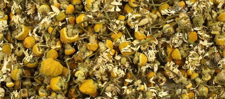 Is Camomile Tea a Diuretic?