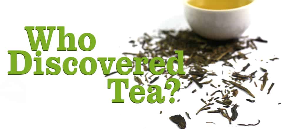 Who Discovered Tea? 