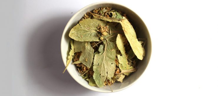 Is Linden Tea Good For Colds? Is Linden Tea Good For Colds?