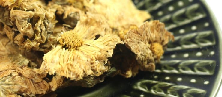 Chrysanthemum Tea Weight Loss