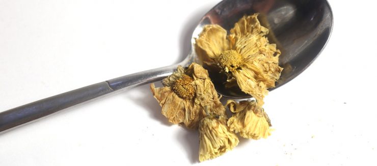 Legend of Chrysanthemum Tea