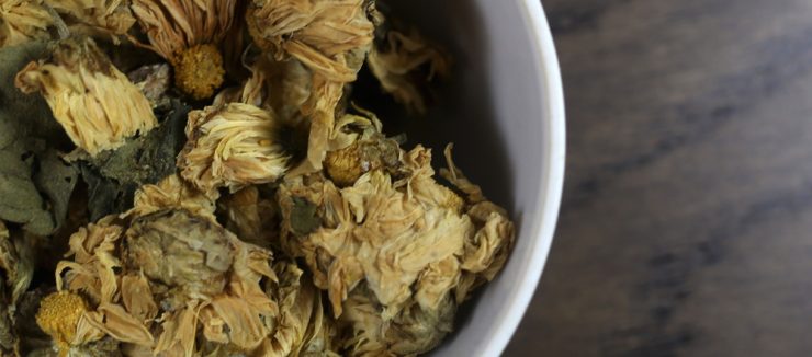 Where to Buy Chrysanthemum Tea
